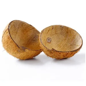 Cáscara de Coco Semi Descascarillada, Triturada y Seca, para Carbón Activado y Combustible - Product Image 5