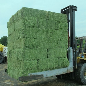 Heno de Alfalfa Puro Premium para Caballos, Ganado, Cerdos y Pollos, 100% Natural, Alto en Proteínas, Alimento Animal de Primera Calidad, Pacas de 100 kg - Product Image 3