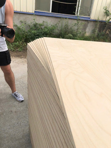 Madera Contrachapada de Abedul de Vietnam a Buen Precio para Fabricación de Muebles y Más, de la Mejor Calidad - Product Image 4