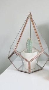 Juego de 2 terrarios personalizados de metal y vidrio, macetero moderno de vidrio para plantas de interior, suculentas, plantas aéreas y terrarios DIY - Product Image 5