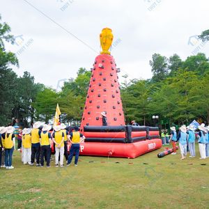 Structure gonflable d'escalade pour team building, 5-10 jours, Vietnam, PVC, garantie de sécurité en déplacement, toutes saisons, Thuy Linh - Product Image 2