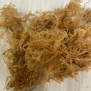 Mousse de mer Wildcrafted Gold Seamoss Eucheuma Cottonii Mousse d'Irlande séchée Vegan Superfood Fournisseur du Vietnam - Product Image 3