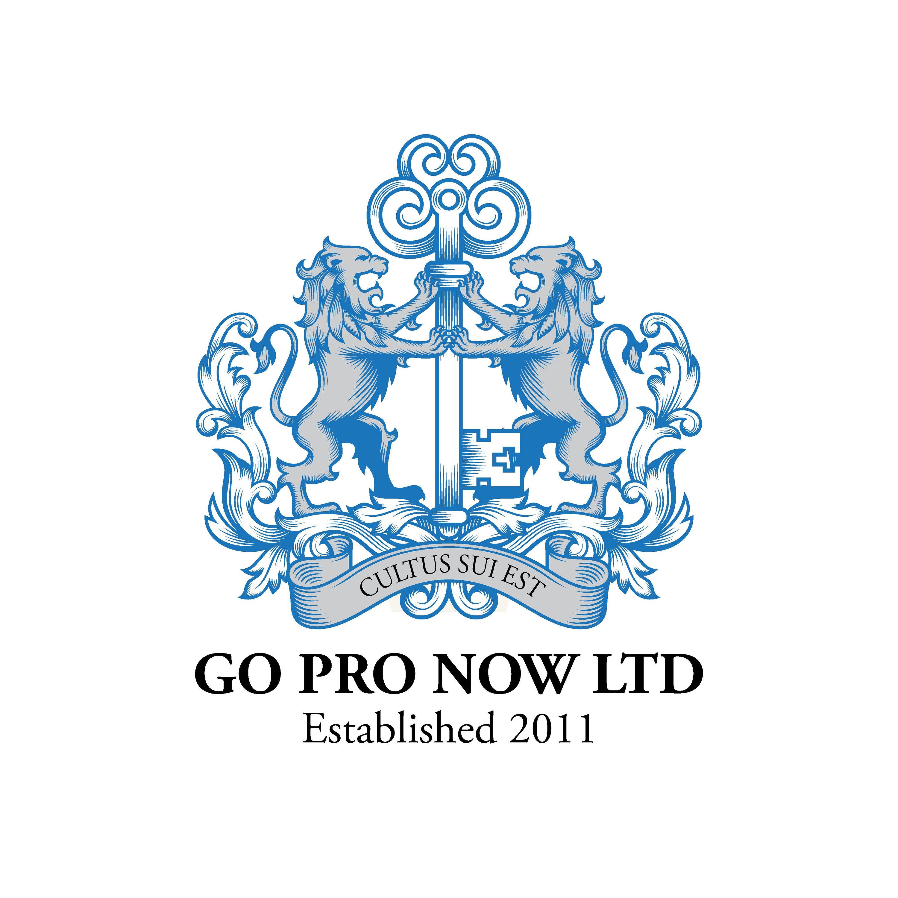 Go Pro Now Ltd logo