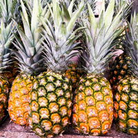 Verse Premium Ananas Export Kwaliteit Zoet Tropisch Fruit Boerderijvers Groothandel Leverancier uit Bangladesh Six Season Agro