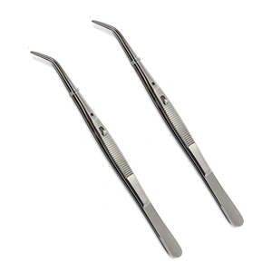 Pinzas Dentales Profesionales de Acero Inoxidable, Pinzas de Precisión para Aplicaciones Clínicas y Quirúrgicas - Product Image 5