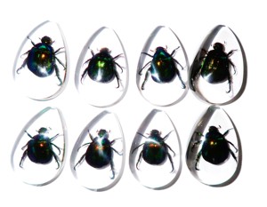 Cabochon en plastique de spécimen réel de scarabée coloré, taille poire, 46x30 mm, fond plat transparent, pour artisanat et fabrication de bijoux - Product Image 1