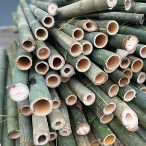 Meilleures ventes de piquets et cannes en bambou pour jardinage, Tonkin, tailles personnalisées, diamètre 10-20 mm, longueur 0,5-2 m, fabriqués par Eco2go Vietnam - Product Image 1