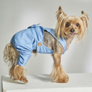 Ropa de algodón orgánico para perros y mascotas ODM 100%, peto de poliéster lavable de estilo clásico sencillo para verano y primavera - Product Image 2