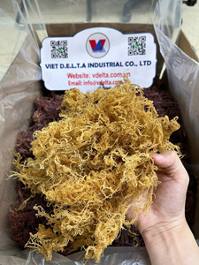 สาหร่ายทะเลแห้งเกรดพรีเมียม (Eucheuma Cottonii) จากเวียดนาม – จำหน่ายแบบขายส่ง - Product Image 1