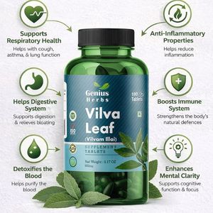 Tabletas de Hoja de Vilva Directas de Fábrica, Bienestar Natural, Extracto Seco Herbal con Alto Contenido Nutritivo, Venta al por Mayor, Envío Global, Paquete Comercial - Product Image 3