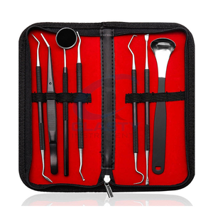 Dental <b>Kit</b> <b>Bag</b> with Manual Stainless Steel Whitening <b>Tool</b> Mouth Mirror Surgical Instruments for Oral Care Dentists - Product Image 1