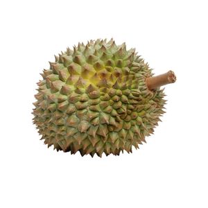 Durian Fresco de la Mejor Calidad |   Vietnam exporta frutas tropicales frescas - Product Image 2