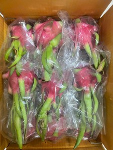 Fruta de dragón de alta calidad de Vietnam exportación fresca carne blanca estándar y carne roja disponible embalaje 9kg caja de cartón - Product Image 5