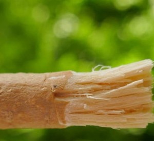 Bâtonnet à mâcher Miswak aux herbes Carepure, brosse à dents naturelle et biologique, blanchiment des dents, haleine fraîche, outil d'hygiène dentaire écologique - Product Image 1