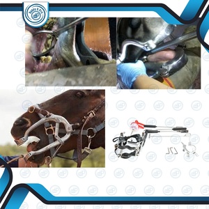 Flotadores dentales para caballos, flotadores manuales, espéculo bucal para caballos, abrebocas, instrumentos veterinarios equinos, aprobado por la CE - Product Image 5