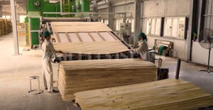 Mejor Venta de tableros de fibra de madera MDF de alta calidad Vietnam 3mm 25mm para aplicaciones de muebles de interior E0 emisión de formaldehído - Product Image 6