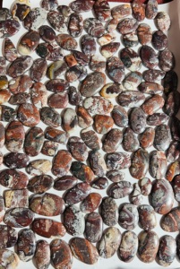 Cabujones de Ágata Crazy Lace Natural de Trimurti Gems |   Piedras Preciosas Sueltas al por Mayor de Diferentes Formas de 15-50 mm para la Fabricación de Joyas, Rajasthan - Product Image 2