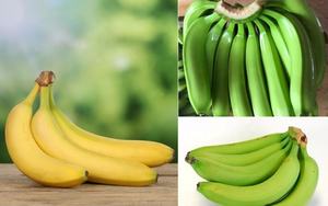 LAS PLÁTANAS CAVENDISH FRESCAS DE VIETNAM, LAS MÁS BARATAS Y DE LA MEJOR CALIDAD - Product Image 3