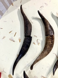 Paires de cornes de chèvre naturelles, finition rustique, écologiques, neuves, de haute qualité pour la décoration et l'artisanat - Product Image 5