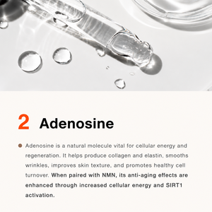 Sérum hydratant à la pro-vitamine B5 et à la niacinamide 5 ml portable - Product Image 3