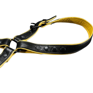Black <b>Leather</b> <b>Harness</b> With Adjustable Straps And Metal Buckle For BDSM Use - Product Image 3
