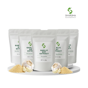 Poudre d'extrait sec d'ail haute performance pour l'industrie alimentaire, les innovations en matière d'assaisonnements et les formulations de produits culinaires avancées - Product Image 5