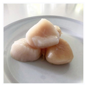 Vieiras Congeladas de Primera Calidad a Precio de Fábrica, Vieiras Secas de Fabricantes de Mariscos Populares, Vieiras Congeladas de Nueva Temporada para Mascotas - Product Image 3