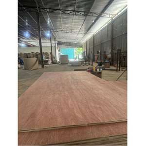 Chapa de Madera Bintangor para Muebles, Puertas y Paneles Decorativos Interiores, Contrachapado de Eucalipto Aseanwood Vietnam - Product Image 2