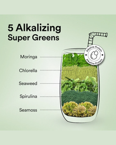 Protéine végétale de haute qualité 20-25g de protéines en poudre avec BCAA, EAA et probiotiques saveur chocolat noir belge végétalien - Product Image 4