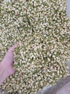 Natural <b>Dried</b> Jasmine Buds Private Label Factory Vietnam Flower Material for Tea Decoration Craft Packaging Wholesale - Product Image 3