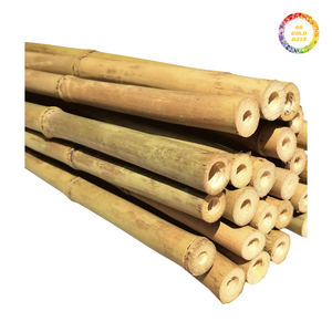 Bâtons de bambou pour supports de jardin, aménagement paysager et travaux manuels, conçus pour une flexibilité et une durabilité accrues. - Product Image 2