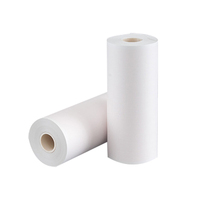 110Mm * 20 M 216Mm X 20 M 75Mm 50 Mm X 30 50 Mm X 20 Meter Ecg Papierrol 12 Kanaal