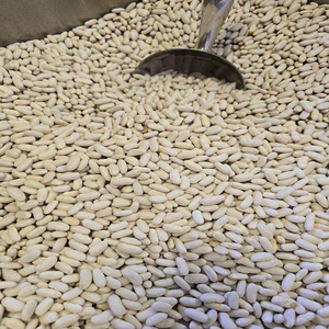 Vente en gros de gros pois blancs frais, riches en sucre et au goût sucré - Product Image 5