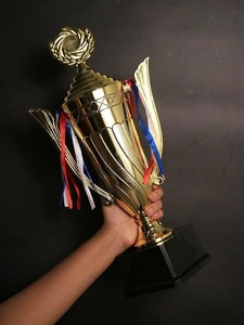 Trofeo Metálico Premium Personalizado de la India para Reconocimiento a Empleados, Premios Empresariales a Precio de Mayoreo, Suministro en India - Product Image 4