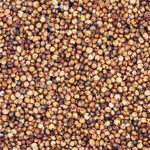 Semillas de Sorgo de Alta Calidad, Suministro a Granel, Precio Directo de Fábrica para Alimentación Animal, Consumo Humano y Elaboración de Cerveza a un Precio Competitivo - Product Image 5