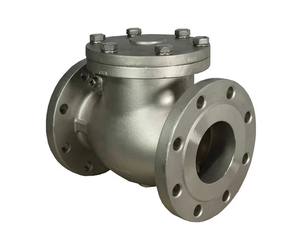 Válvula de Retención de Alta Presión para Procesamiento Químico y Aceite a Altas Temperaturas, Personalizable OEM, Marca C-Way, Tamaño de Puerto de 4 Pulgadas # 150 - Product Image 5