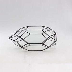 Terrario de Vidrio con Forma Única para Decoración de Mesa de Sala de Estar Moderna y Presentación Interior Elegante en Hogares Contemporáneos - Product Image 4