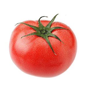 Tomates Frescos de Exportación de Gran Tamaño - Product Image 4