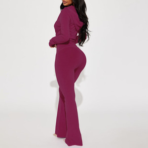 New Best Seller Women's Solid Purple Knitted Long Sleeve Flared Pants Set Full Length Skinny Fit 2Piece Hooded <b>Top</b> & Pants Sets - Product Image 2