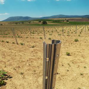 Poteaux de treillis de vignoble galvanisés, système de poteaux ouverts, poteaux de clôture - Product Image 3