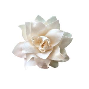 Flores de Madera de Sola (Lotus) de 8-8.5 CM, Varilla de Fibra Vegetal de Sesbania, Aromaterapia Hecha a Mano - Product Image 1