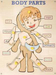 แผ่นไม้ฝึกทักษะรูปทรงร่างกายมนุษย์สำหรับเด็ก ของเล่นเสริมพัฒนาการเรียนรู้ชิ้นส่วนร่างกาย ราคาขายส่งจากโรงงาน - Product Image 2