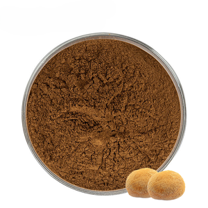 Extrait de Crinière de Lion le plus vendu, poudre 10:1 en forme fine, poudre pure de Crinière de Lion favorisant la mémoire, la clarté mentale et la concentration - Product Image 4