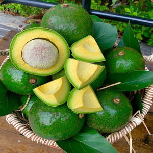 อะโวคาโดแช่แข็งขายส่งจากเวียดนาม คุณภาพสูง ราคาแข่งขันได้ - Product Image 2