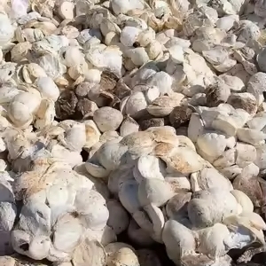 Caucho natural en trozos de copa de Vietnam | Limpio, consistente y listo para su fábrica - Product Image 3