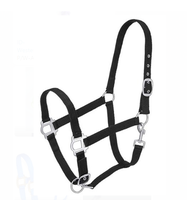 En gros, Bridon de course pour cheval réglable et confortable, style selle anglaise, en tissu nylon anatomique avec surpiqûres décoratives