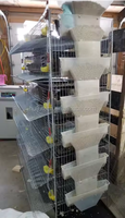 Cage d'élevage automatique pour 200-300 cailles/ensemble HJ-QC400A