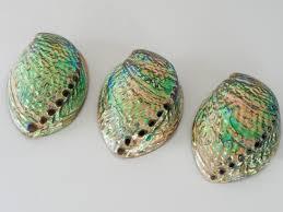 Conchas de Abulón Verde Pulido de Alta Calidad, Conchas de Paua Perladas a Granel para Decoración de Hoteles, Resorts y Hogares de Lujo - Macy - Product Image 6