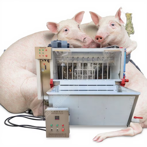 Conception complète d'abattoir porcin, machine d'épilation au <span class=keywords><strong>laser</strong></span> à vendre, équipement de ligne d'abattage - Product Image 4