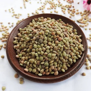 Lentejas Rojas/Verdes/Amarillas Enteras, 100% Naturales y Orgánicas, de la Mejor Calidad, Secas, a Granel, 25 kg, Marca TZ453G, Chana Dal para Uso Alimentario - Product Image 2